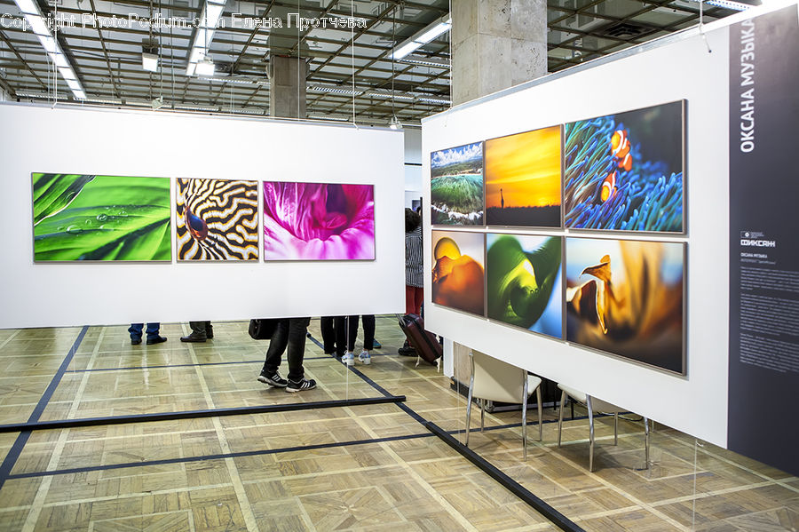 Collage, Poster, Art, Modern Art, Indoors, Interior Design, Room