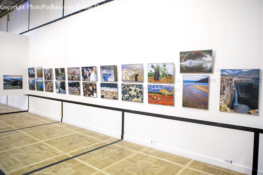 Collage, Poster, Art, Art Gallery, Floor, Flooring, Modern Art