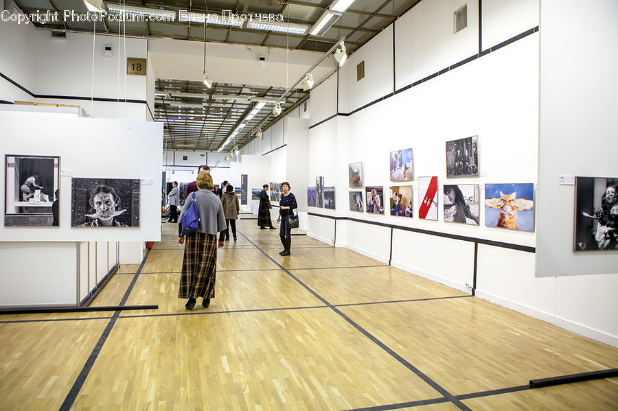 People, Person, Human, Art, Art Gallery, Floor, Flooring