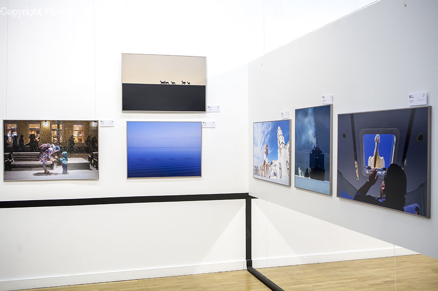 Collage, Poster, Electronics, LCD Screen, Monitor, Screen, Indoors