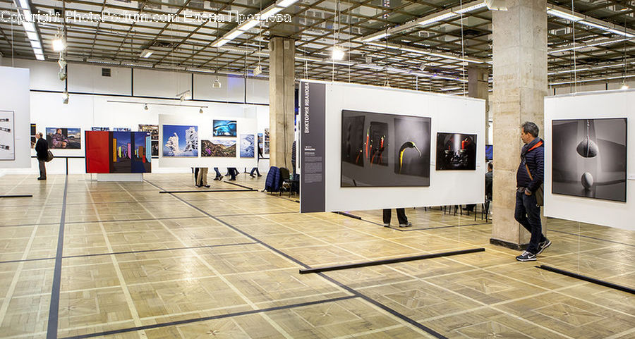 Floor, Flooring, Art, Art Gallery, Modern Art, Airport Terminal, Terminal