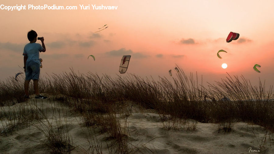 People, Person, Human, Exercise, Fitness, Jogging, Dune