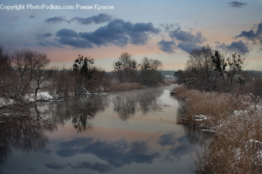 Flood, Land, Marsh, Pond, Swamp, Water