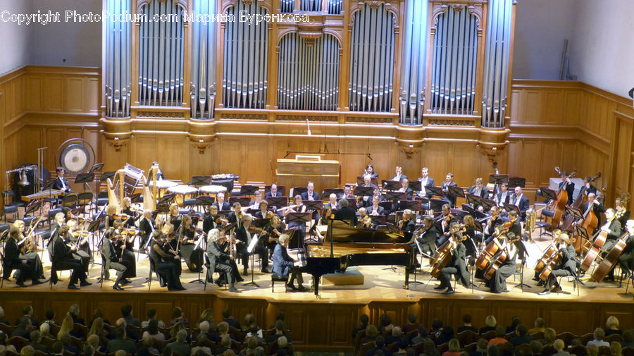 Musical Instrument, Orchestra, Music Band, Shop