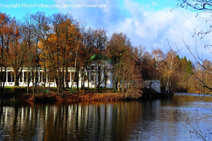 Land, Marsh, Outdoors, Swamp, Water, Building, Housing