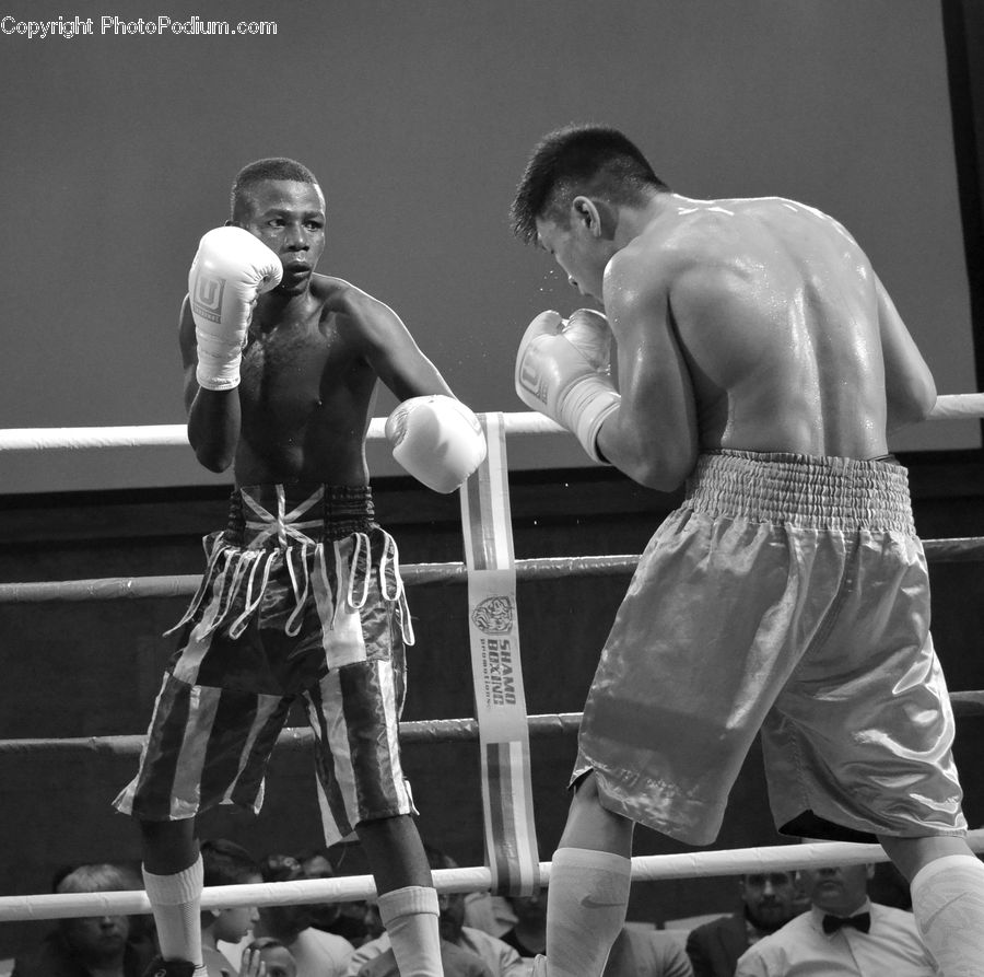 Boxing, Fitness, Sport, People, Person, Human