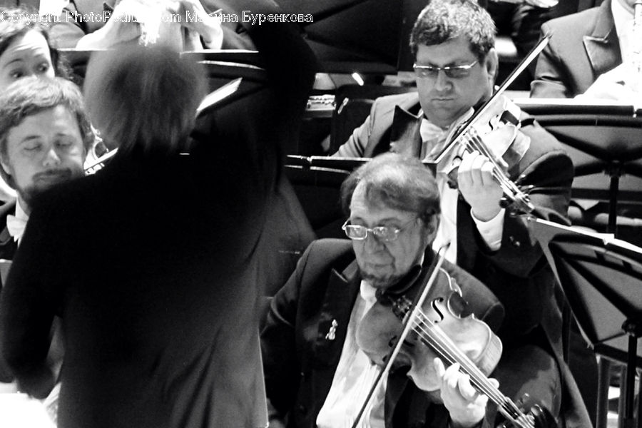 People, Person, Human, Cello, Fiddle, Musical Instrument, Violin