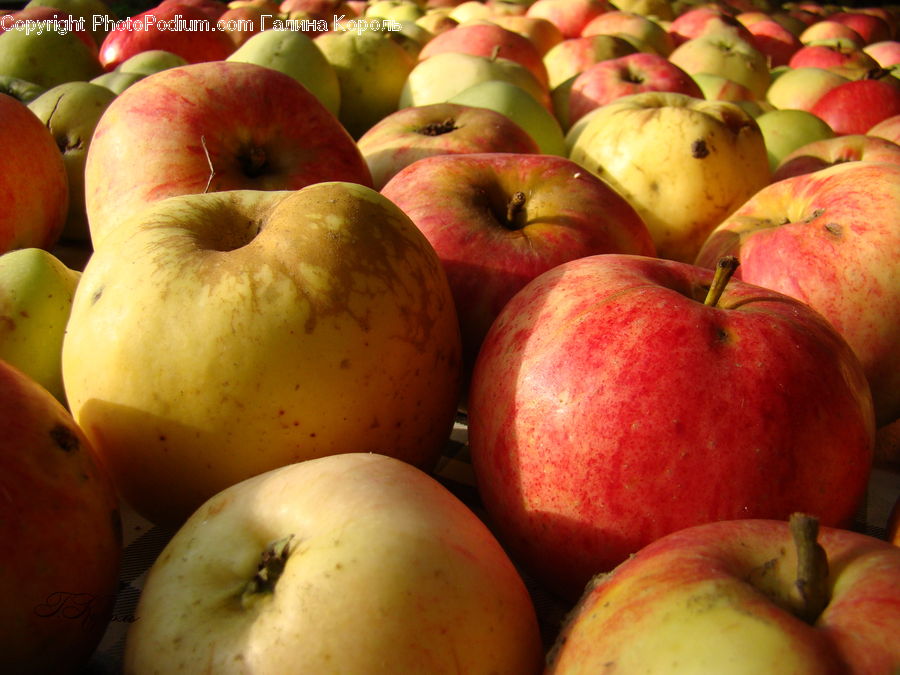 Apple, Fruit