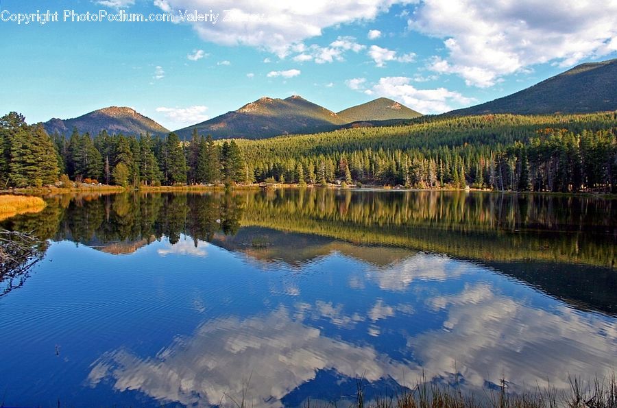 Lake, Outdoors, Water, Conifer, Fir, Plant, Tree