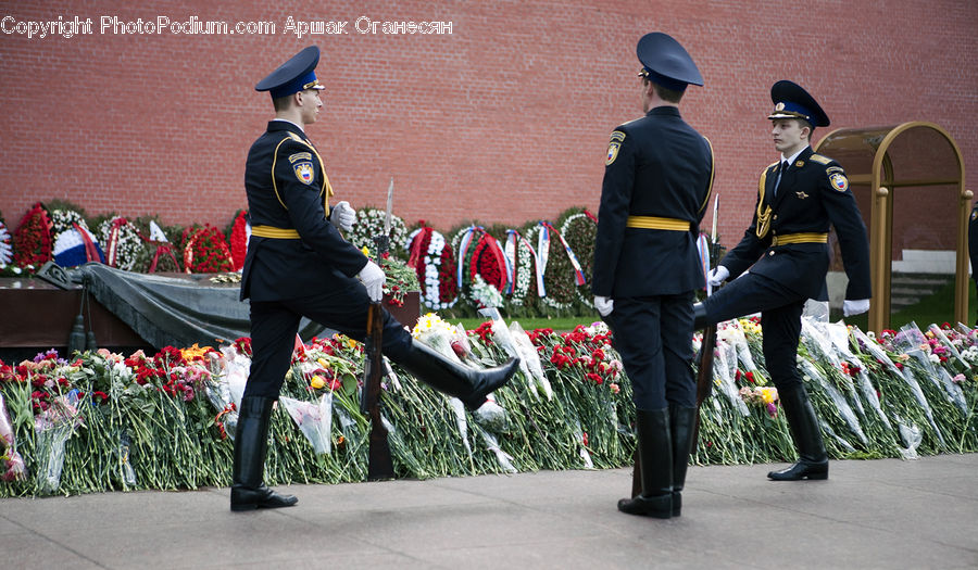 Human, People, Person, Plant, Potted Plant, Officer, Police