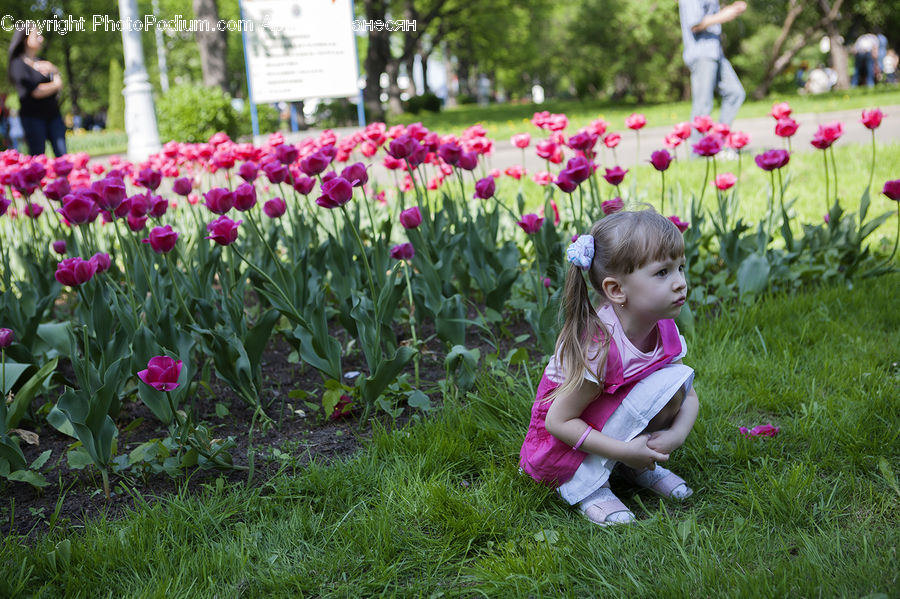 People, Person, Human, Blossom, Flora, Flower, Plant