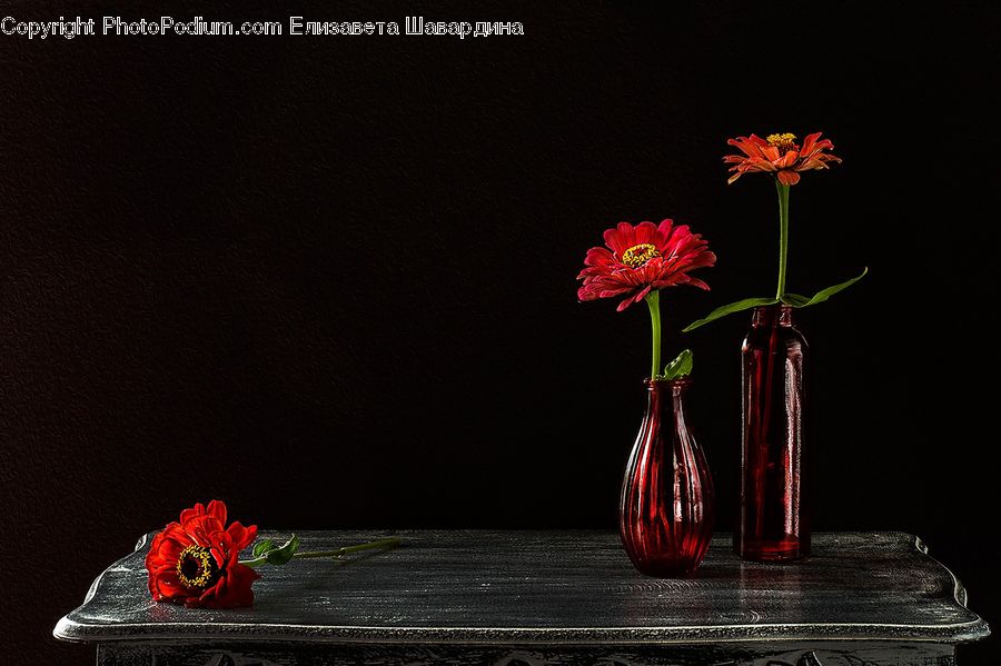 Jar, Porcelain, Vase, Flower Arrangement, Ikebana, Plant, Potted Plant