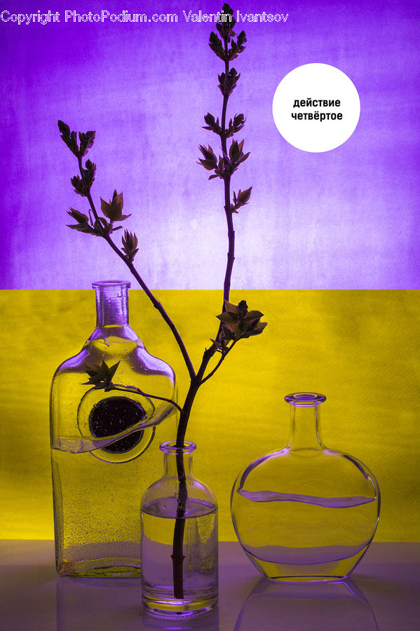 Alcohol, Beverage, Drink, Glass, Flower Arrangement, Ikebana, Plant