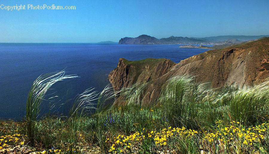 Coast, Outdoors, Sea, Water, Field, Grass, Grassland