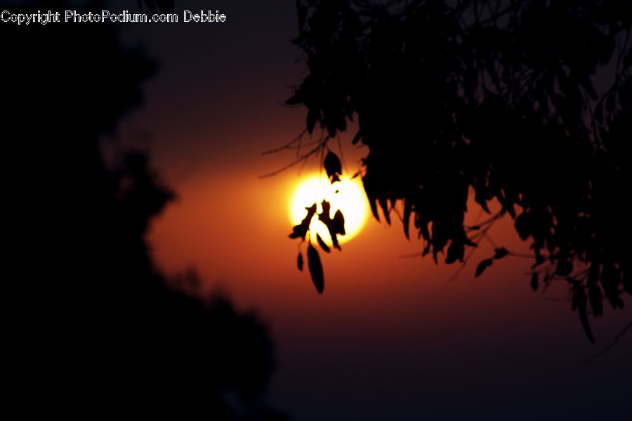 Silhouette, Light, Bonfire, Campfire, Camping, Fire, Flame