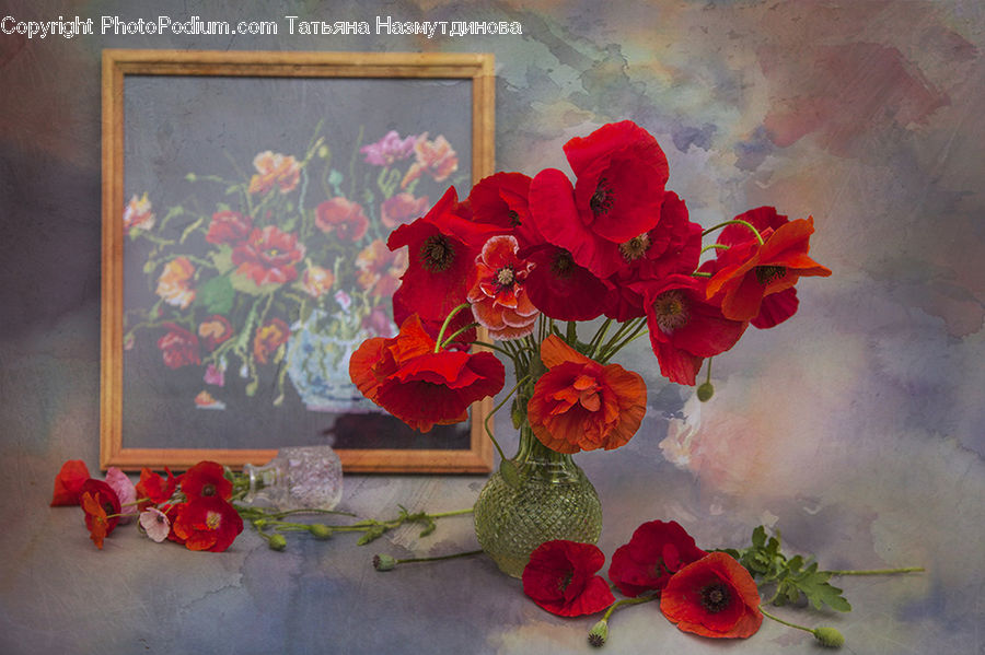 Blossom, Flora, Flower, Geranium, Plant, Jar, Porcelain