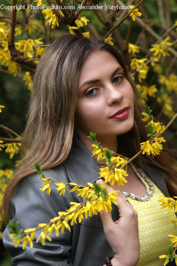 People, Person, Human, Hula, Blossom, Daffodil, Flora