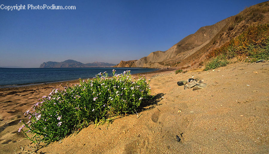 Soil, Beach, Coast, Outdoors, Sea, Water, Desert