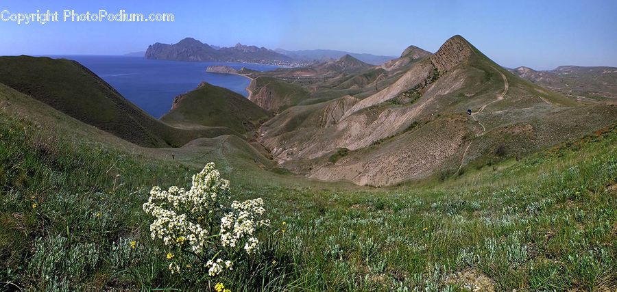 Crest, Mountain, Outdoors, Peak, Apiaceae, Blossom, Plant
