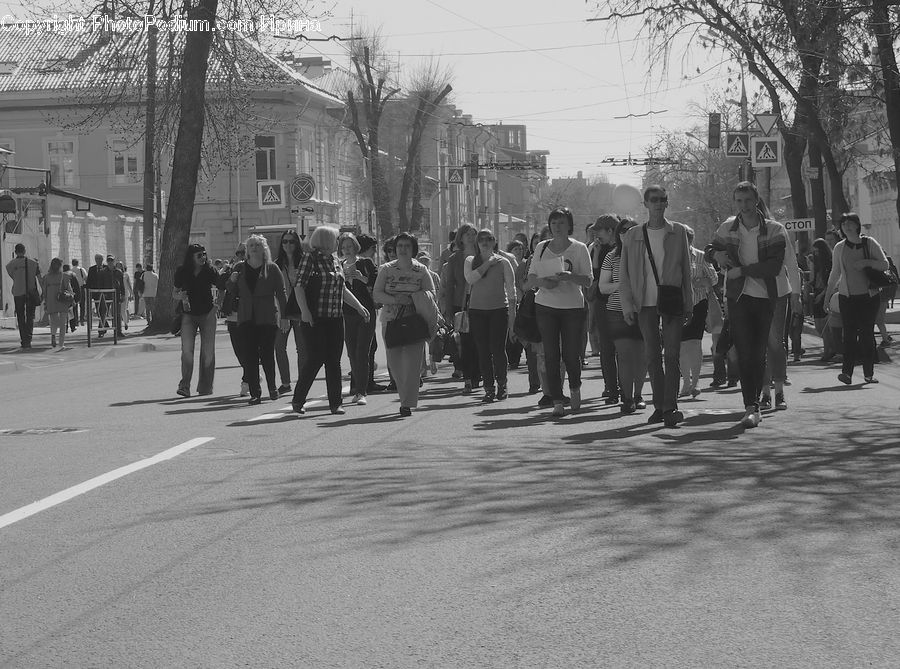 People, Person, Human, Crowd, Carnival, Festival, Parade