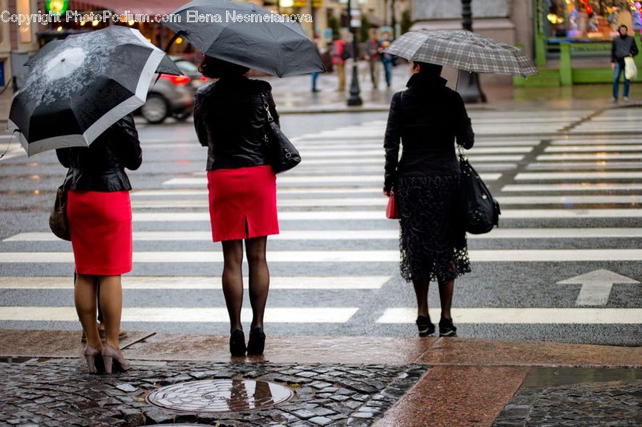 Human, People, Person, Umbrella, Asphalt, Road, Zebra Crossing
