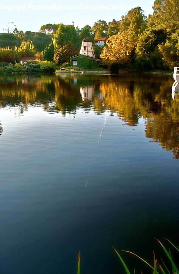 Outdoors, Pond, Water, Field, Grass, Grassland, Plant