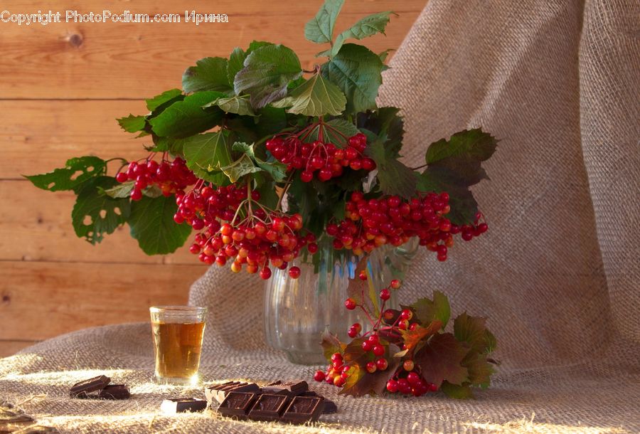Plant, Potted Plant, Fruit, Raspberry, Vine, Cherry, Pot