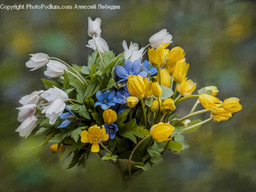 Fiber, Flax, Flora, Flower, Plant, Flower Arrangement, Flower Bouquet
