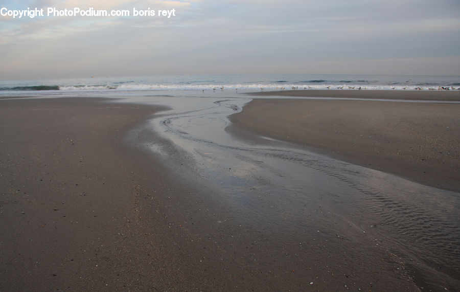 Beach, Coast, Outdoors, Sea, Water