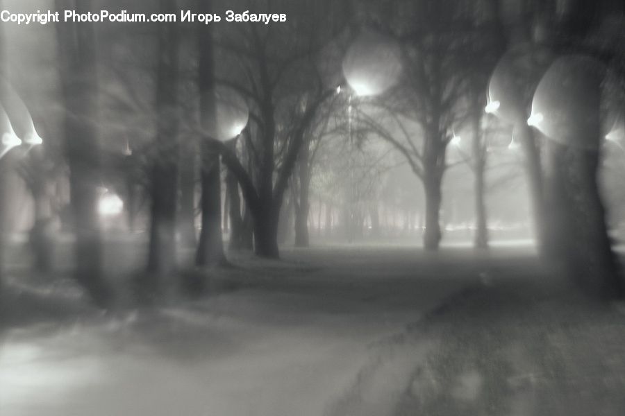 Blizzard, Outdoors, Snow, Weather, Winter, Fog