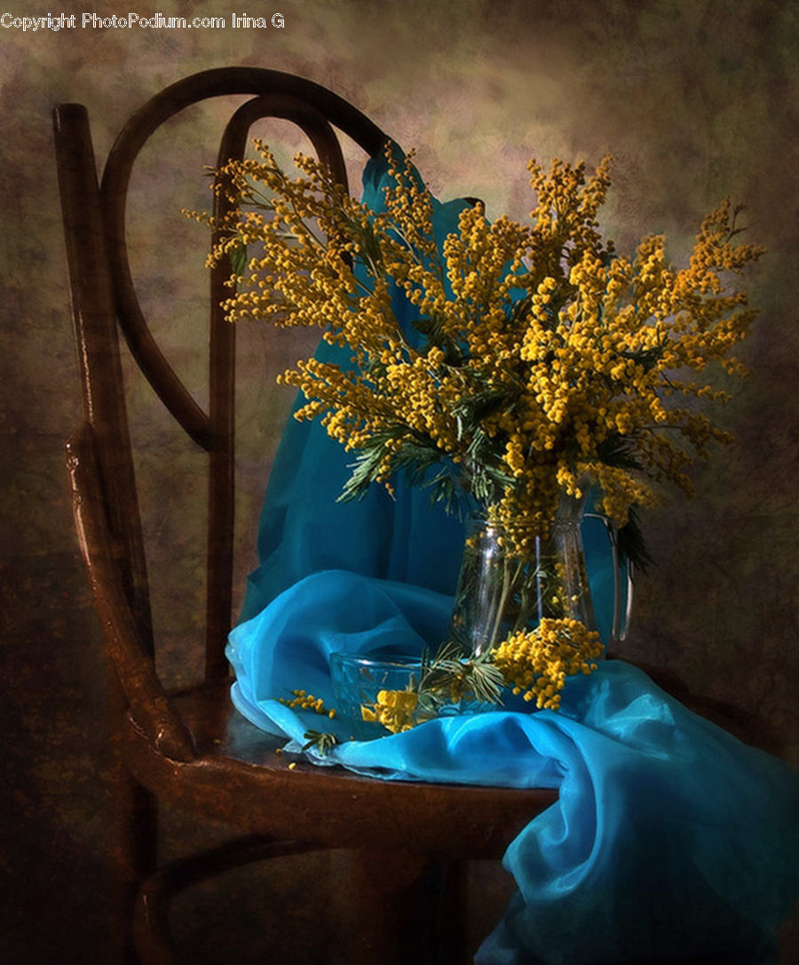 Flower, Flower Arrangement, Flower Bouquet, Ikebana, Plant, Potted Plant, Vase