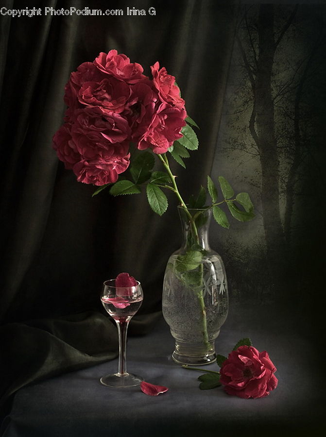 Glass, Goblet, People, Person, Human, Jar, Porcelain