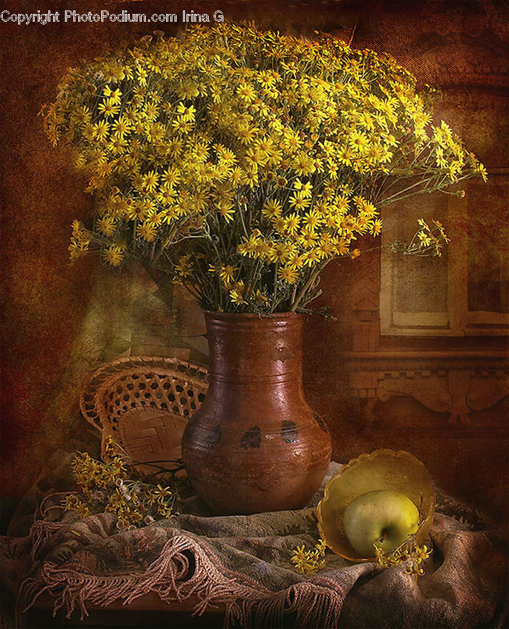 Plant, Potted Plant, Jar, Porcelain, Vase, Acorn, Seed