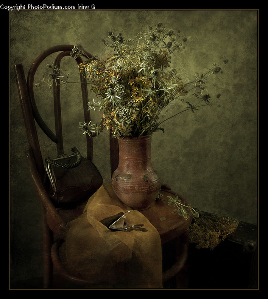 Plant, Potted Plant, Jar, Porcelain, Vase, Bonsai, Tree