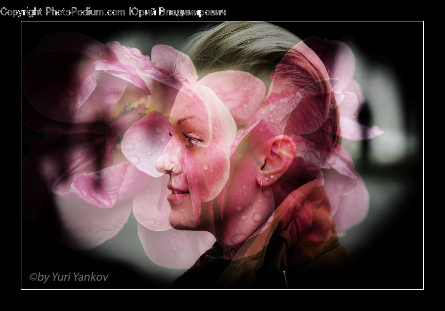 People, Person, Human, Flora, Flower, Gladiolus, Plant