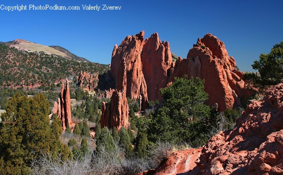 Canyon, Outdoors, Valley, Landslide, Conifer, Plant, Tree
