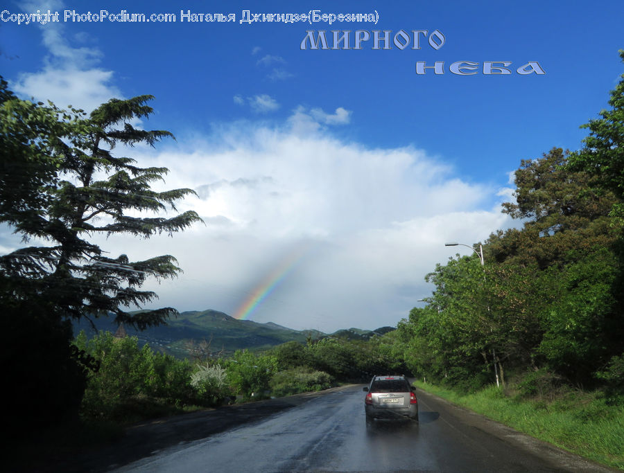 Dirt Road, Gravel, Road, Outdoors, Rainbow, Sky, Conifer