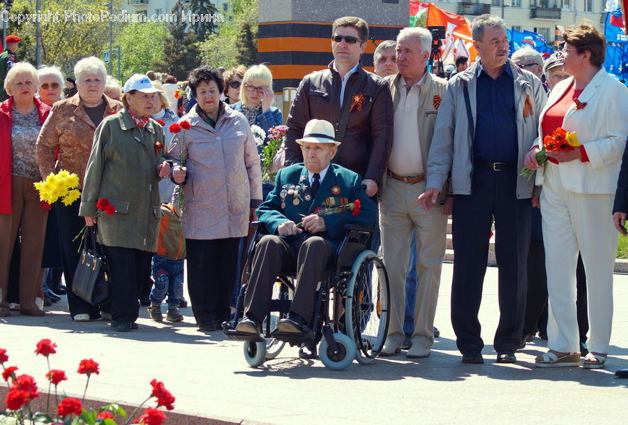 Human, People, Person, Wheelchair, Carnival, Crowd, Festival