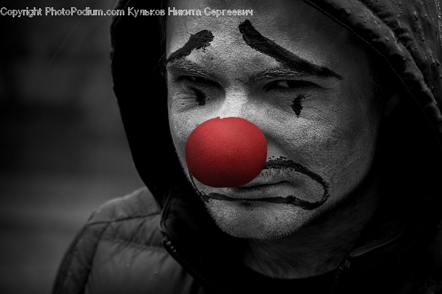 Clown, Performer, Person, People, Human