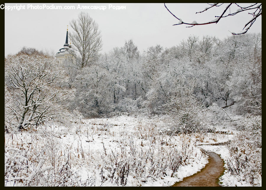 Frost, Ice, Outdoors, Snow, Dirt Road, Gravel, Road