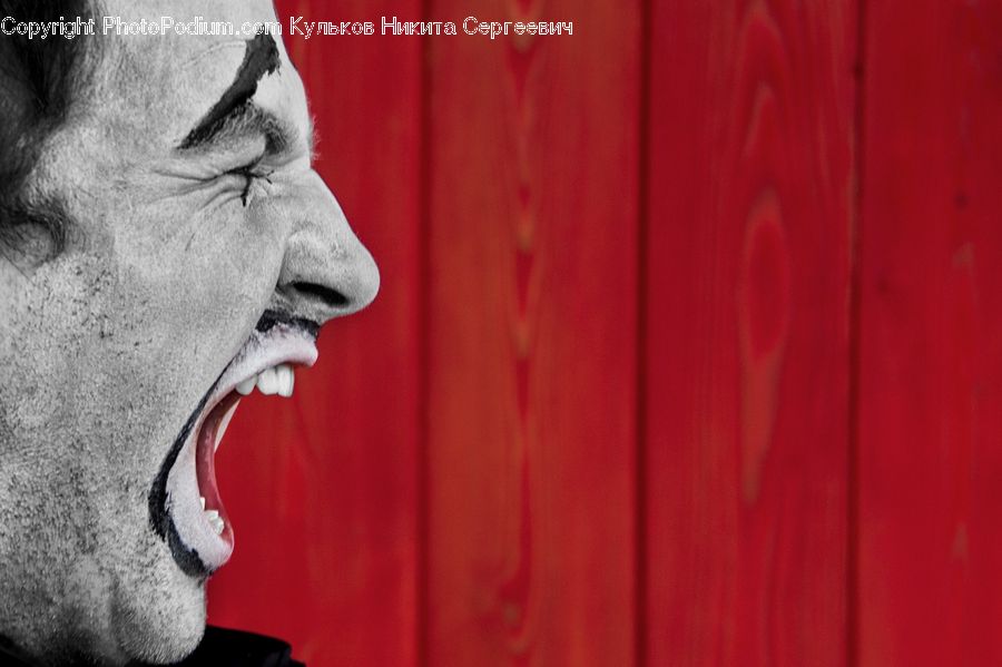 Clown, Performer, Person, Head, Portrait, Face