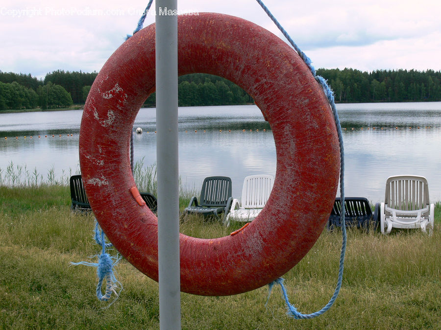 Life Buoy, Chair, Furniture, Bird, Black Swan, Swan, Waterfowl