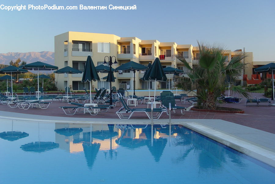 Plant, Potted Plant, Umbrella, Pool, Water, Bicycle, Bike