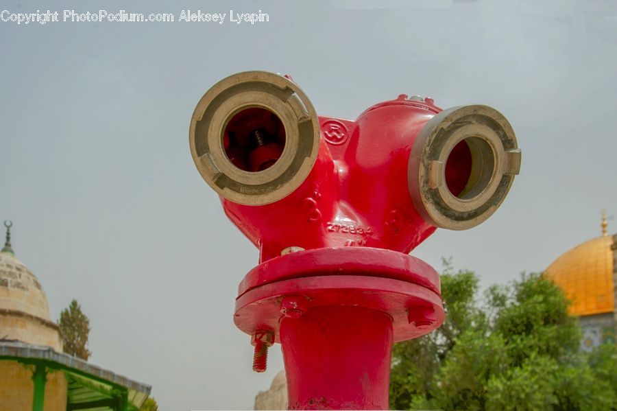Plant, Potted Plant, Binoculars, Hydrant, Bush, Vegetation, Blossom