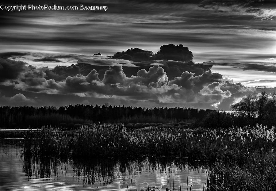 Cloud, Cumulus, Sky, Silhouette, Water