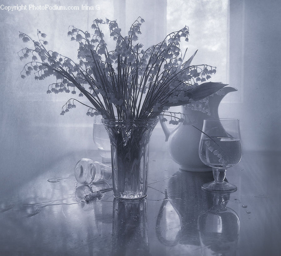 Plant, Potted Plant