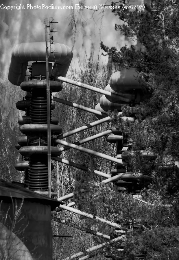 Coil, Spiral, Outdoors, Forest, Vegetation, Jungle, Blossom