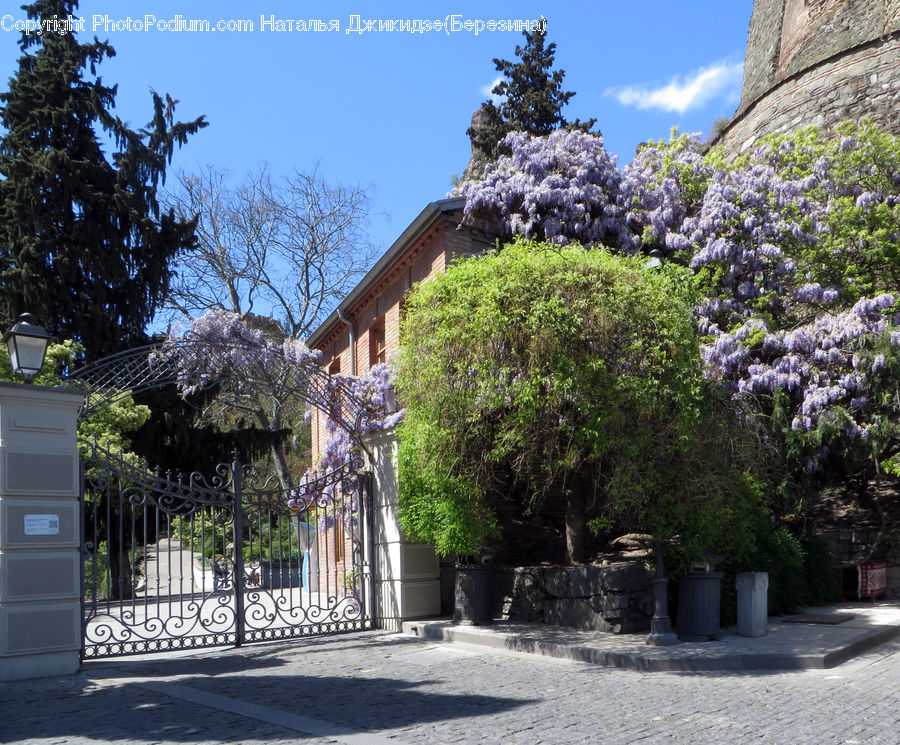 Building, Cottage, Housing, Arch, Gate, Patio, Pergola