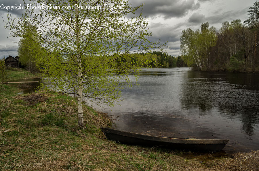 Boat, Rowboat, Vessel, Canoe, Forest, Grove, Land