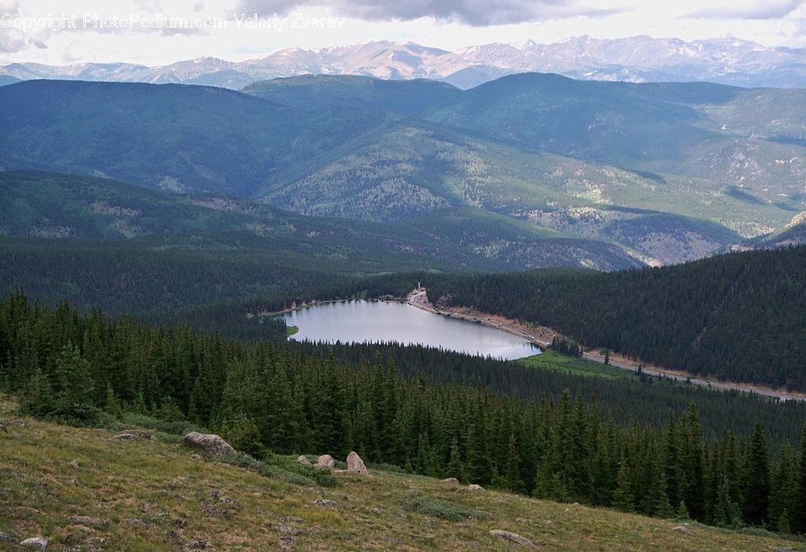 Crest, Mountain, Outdoors, Peak, Conifer, Fir, Plant